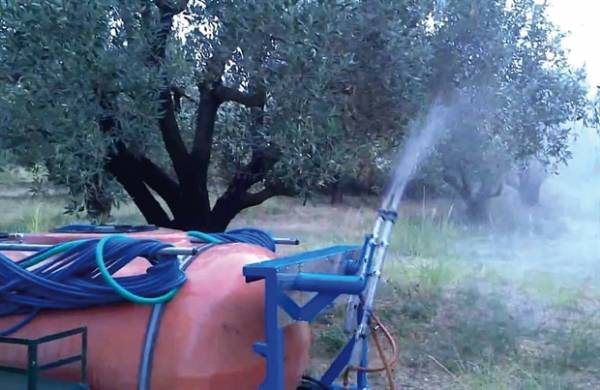 Το πρόγραμμα δακοκτονίας στην Οιχαλία