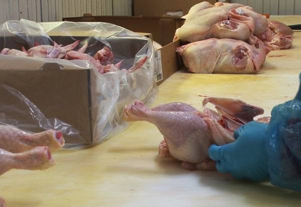 Ξεκινά την επόμενη εβδομάδα το επισιτιστικό πρόγραμμα στη Μεσσηνία