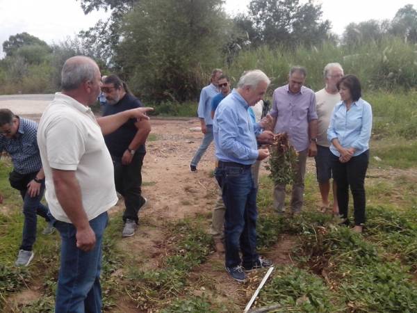 Συνέλευση αγροτών για τις αποζημιώσεις στη Μεσσήνη