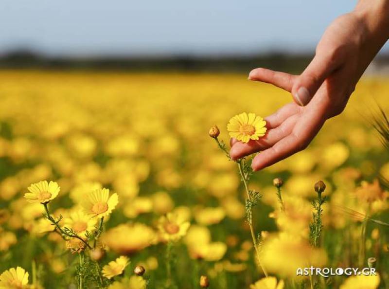 Ζώδια Σήμερα | Τρίτη 17 Μαΐου