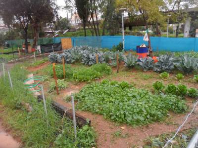 Παράταση λειτουργίας δομών για τη φτώχεια