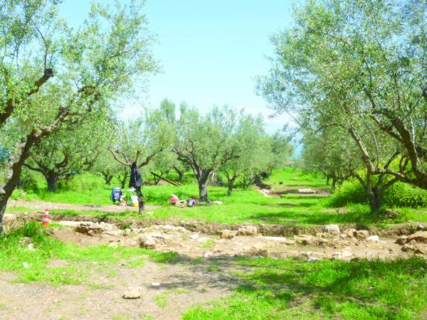 Εγκρίθηκε η παραλλαγή παράκαμψης του Πεταλιδίου