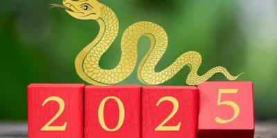 H «χρονιά του φιδιού»: 5+1 στρατηγικές προκλήσεις για τη Μεσσηνία το 2025