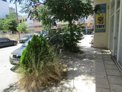 Χορτάριασε η Ρουμελιώτη