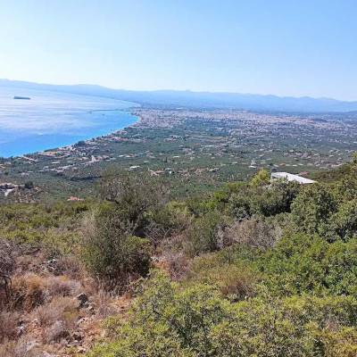 27 χρόνια θεατές στο θέατρο του παραλόγου