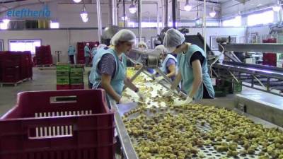 Μεσσηνία: Aρχισαν οι εξαγωγές σύκων