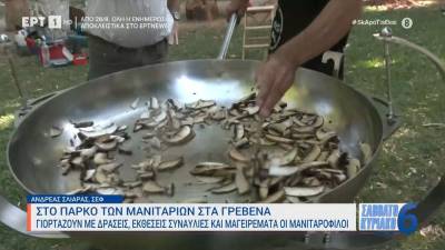 Στο πάρκο των μανιταριών στα Γρεβενά - Γιορτάζουν με δράσεις, συναυλίες και μαγειρέματα οι μανιταρόφιλοι