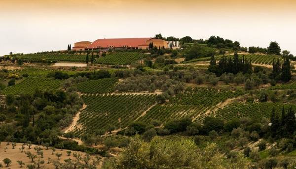 SEMELI: Νέα επένδυση 1,5 εκατ. ευρώ στη Νεμέα