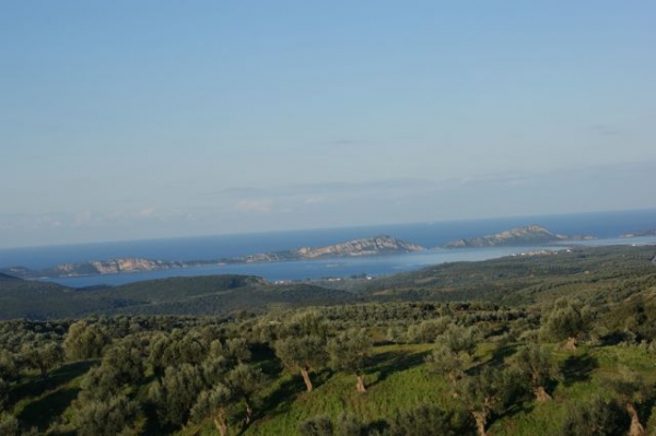 ΤΕΕ Πελοποννήσου: Γη Υψηλής Παραγωγικότητας εμπόδιο στην ανάπτυξη