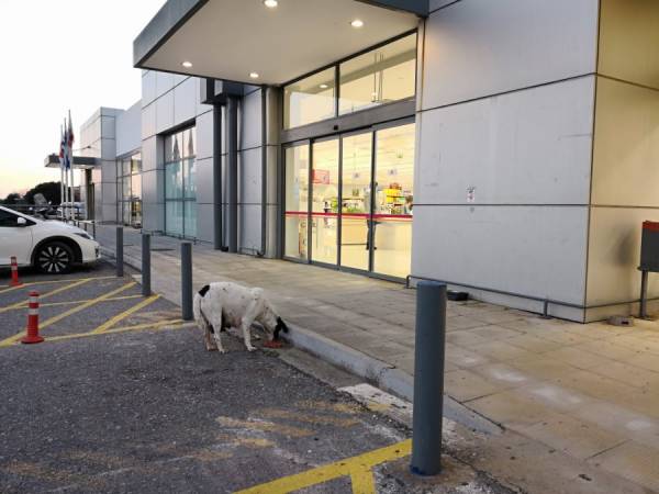 Υπάρχει ανθρωπιά