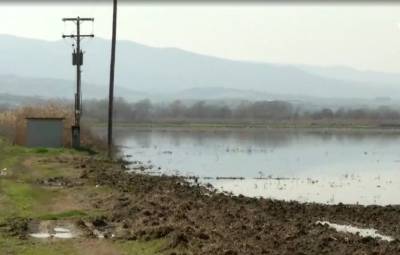 Σέρρες: Σε επιφυλακή για την άνοδο της στάθμης σε Στρυμόνα και Αγγίτη (βίντεο)