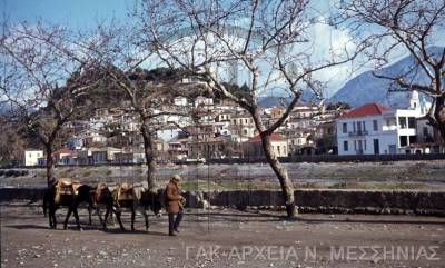 Καλαμάτα: Οταν στην Αρτέμιδος κυκλοφορούσαν και γαϊδουράκια