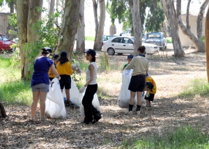 Επιτυχής ο καθαρισμός του άλσους Μπούκας στη Μεσσήνη με πρωτοβουλία της Eurobank