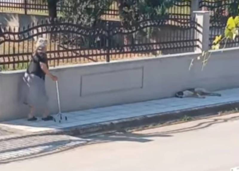 Θεσσαλονίκη: Σάλος με βίντεο που δείχνει ηλικιωμένη να πετάει μπαστούνι σε σκυλί