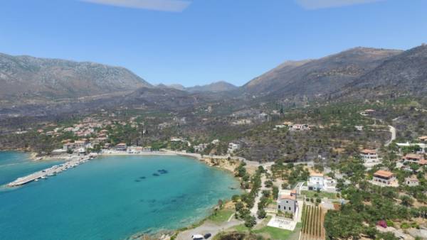 Οργή και θλίψη: Ο καμένος Κότρωνας από ψηλά (VIDEO)