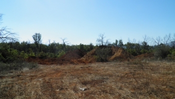 Ο Π. Βαλασόπουλος στους χώρους που πετούσαν παράνομα σκουπίδια στη Μεγαλόπολη