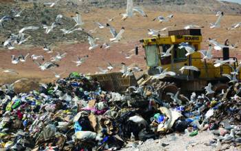 Σταθόπουλος: "Σε πρώιμο στάδιο η διαχείριση σκουπιδιών"