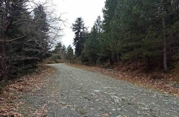 Επιδότηση της διαμονής στα χωριά του Ταϋγέτου