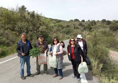 Μάζεψαν χόρτα και τα μαγείρεψαν στο Κρυονέρι
