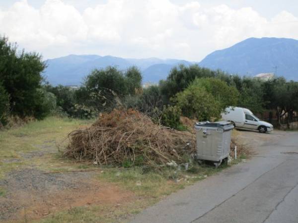 Ξερά χόρτα έξω από τον κάδο