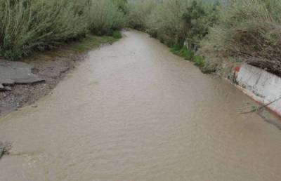 Καθαρισμός στο ρέμα Λιγδού