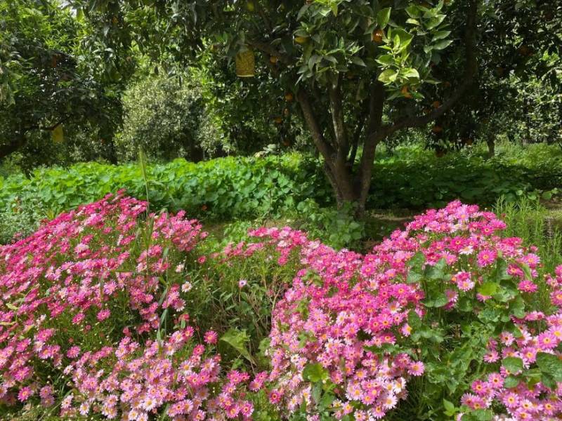 "Σχολείο στη Φύση" στο Αγρόκτημα Φοίφα