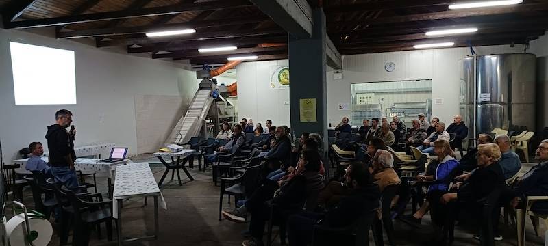 Ημερίδα για το ελαιόλαδο στον Κάμπο Αβίας
