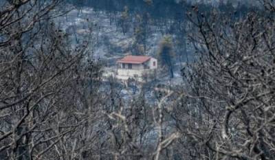 Μεσσηνία: Πριν τα Χριστούγεννα η δεύτερη δόση αποζημίωσης ΕΛΓΑ σε πυρόπληκτους