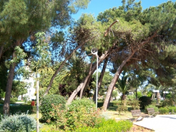 Ξηλώνεται το αμφιθέατρο στο πάρκο Μεσσήνης - Απαράδεκτη η ποιότητα του έργου