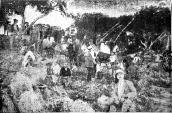 Επί Τάπητος: Με αφορμή τον δάκο, παρελθόν και μέλλον...