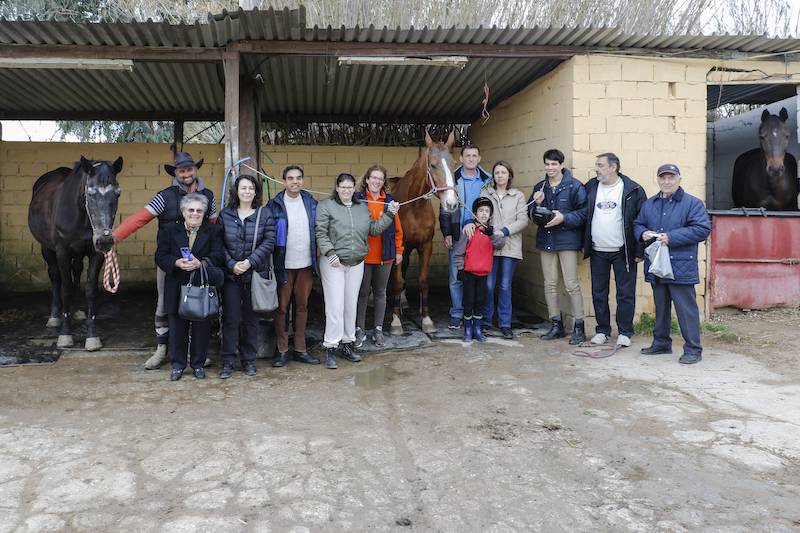Καλαμάτα: Με τη θεραπευτική ιππασία πραγματοποιούν το όνειρό τους 4 αθλητές των Special Olympics (βίντεο-φωτογραφίες)
