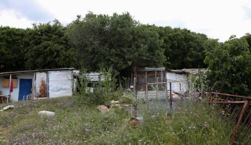 Καβάλα: Την πιθανότητα να σκότωσε κριάρι την κτηνοτρόφο εξετάζουν οι Αρχές