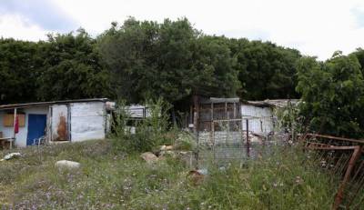 Καβάλα: Την πιθανότητα να σκότωσε κριάρι την κτηνοτρόφο εξετάζουν οι Αρχές