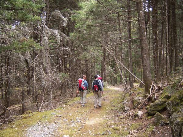 Εξόρμηση στο Βόρειο Μαίναλο