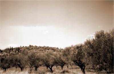 Κάστρα και οχυρά της Μεσσηνίας: Η Αλουπότρυπα στο Αγριλόβουνο