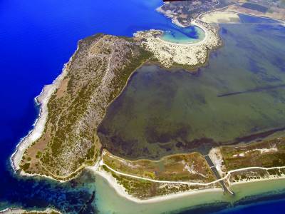 Τα γαϊδούρια του Ναβαρίνου και οι Ονοκέφαλοι του Δαμοφώντα