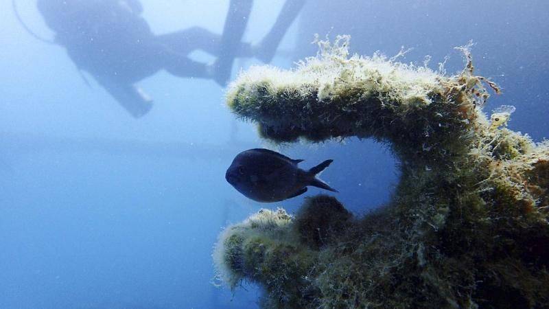 Αρχαιολόγοι πιστεύουν πως ανακάλυψαν τον Ναό του Ηρακλή (βίντεο)