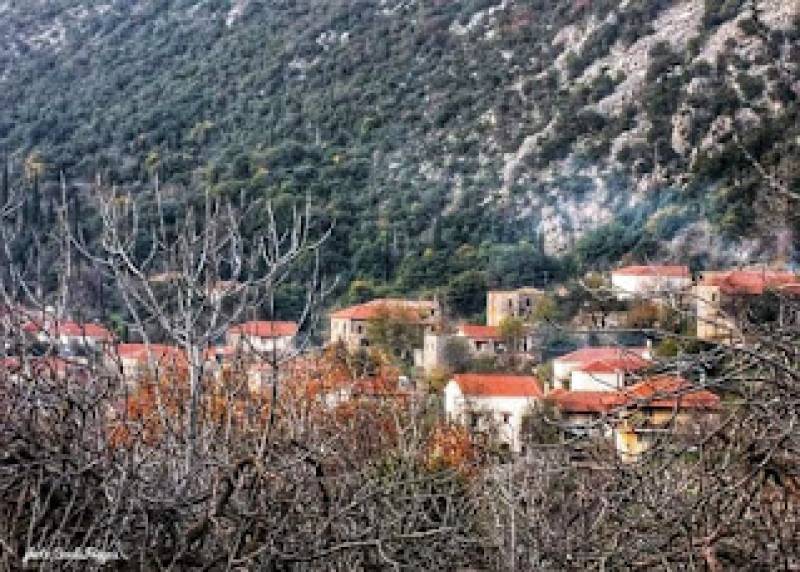 Περιήγηση στο Πεύκο Οιχαλίας