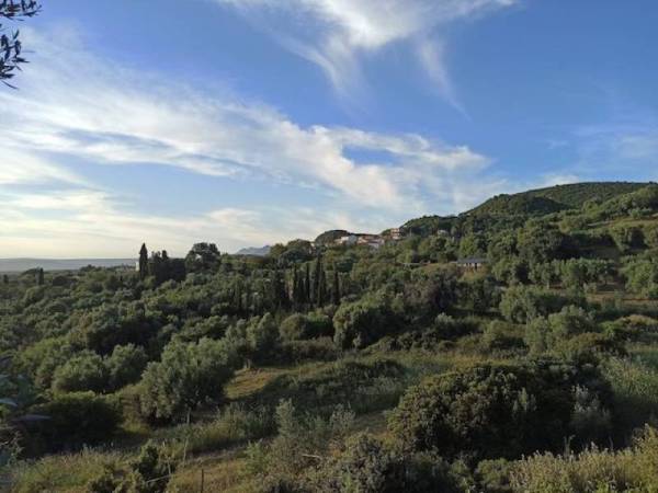 Ο αναπληρωτής διευθυντής Δασών έδειξε τον δρόμο