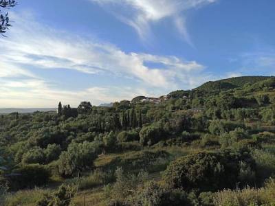 Ο αναπληρωτής διευθυντής Δασών έδειξε τον δρόμο