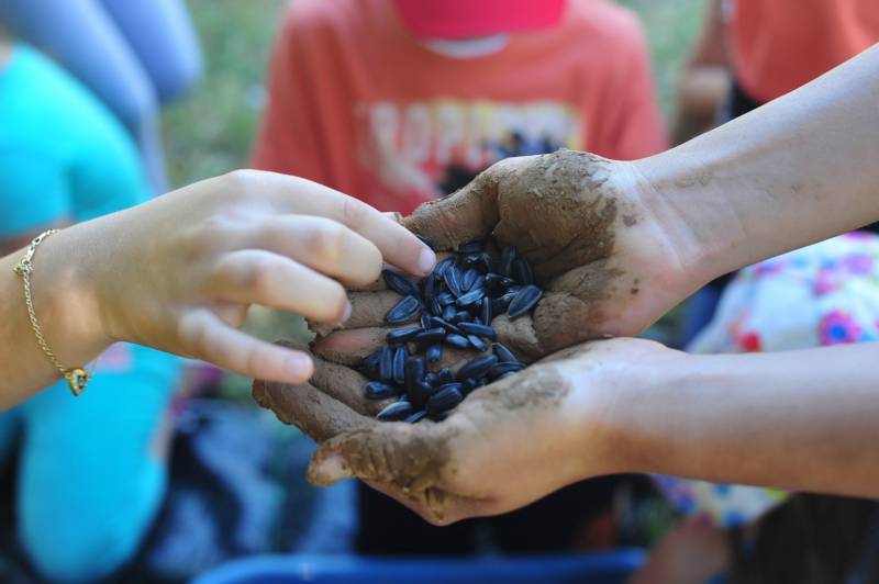 Γιορτή ανταλλαγής σπόρων στο Αγρόκτημα Φοίφα