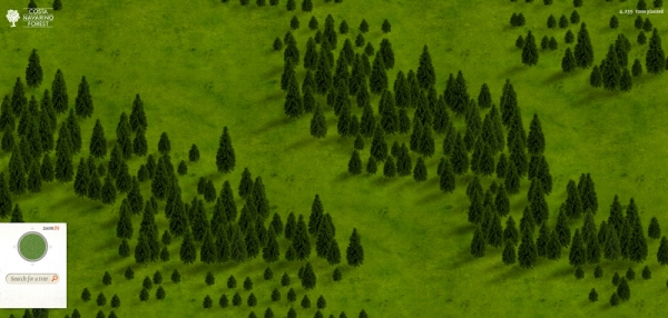 4.133 δέντρα φυτεύονται στη Μεσσηνία από Aegean και Costa Navarino