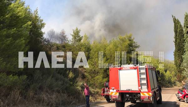 Φωτιά σε δασική έκταση στο Γεράκι Ηλείας
