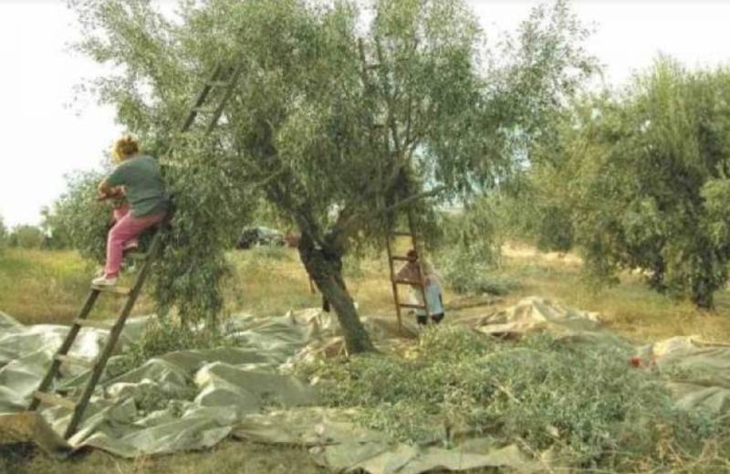 Παράταση διαμονής εργατών γης σε 90 μέρες