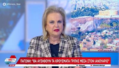 Παγώνη: Θα αυξηθούν τα κρούσματα γρίπης μέσα στον Ιανουάριο (Βίντεο)