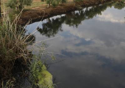 Με εφαρμογή των νόμων θα σώσουμε το περιβάλλον