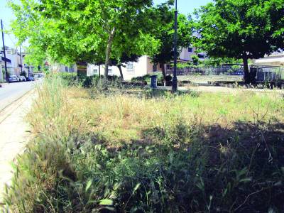 Μεγάλωσαν τα χορτάρια