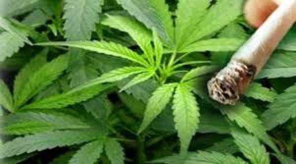 Σύλληψη για χασίς στην Καλαμάτα