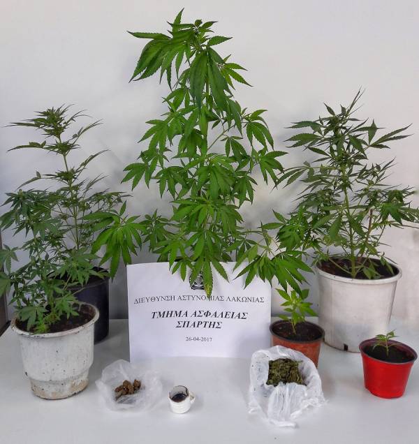 Σύλληψη 46χρονου για χασίς σε χωριό της Σπάρτης