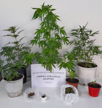 Σύλληψη 46χρονου για χασίς σε χωριό της Σπάρτης